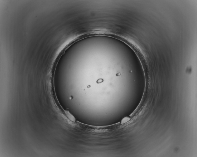 X0000100341325200806121142