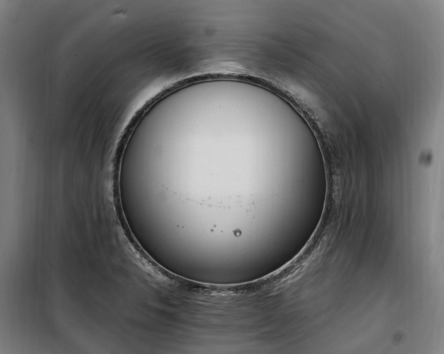 X0000100341326200806121142