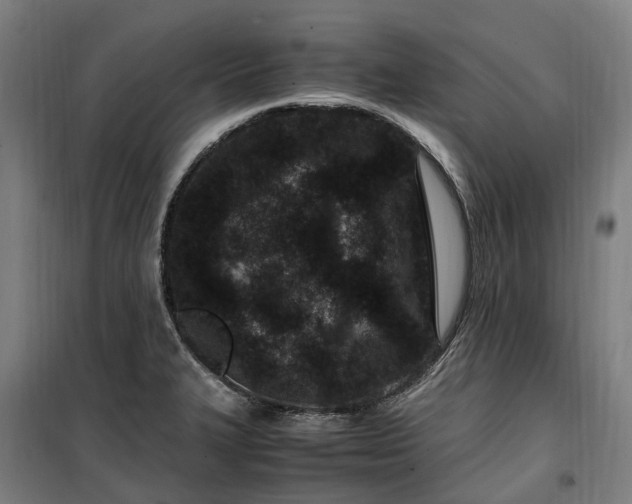 X0000100341327200806121142