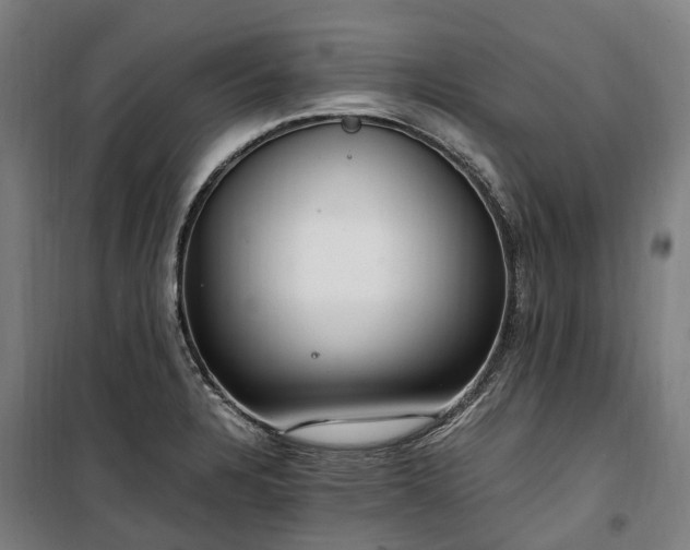 X0000100341328200806121142