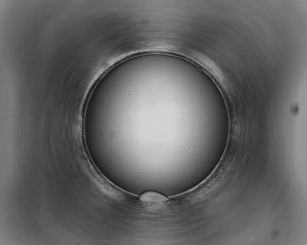 X0000100341332200806121142