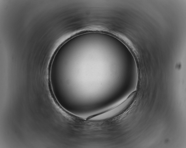 X0000100341335200806121142