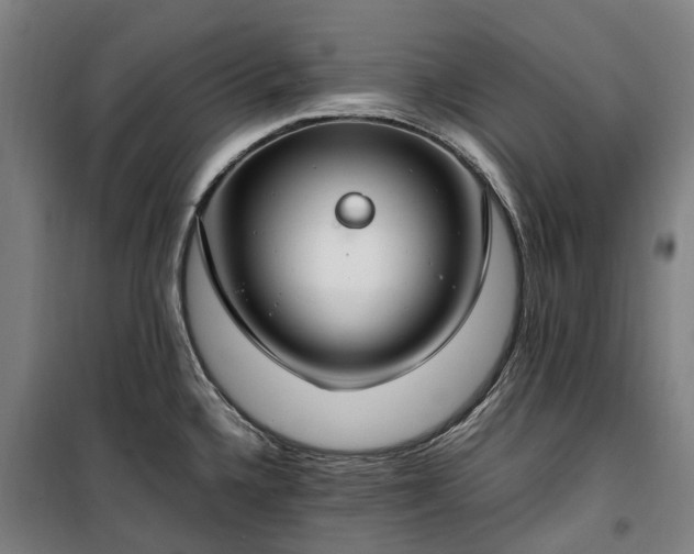 X0000100341336200806121142