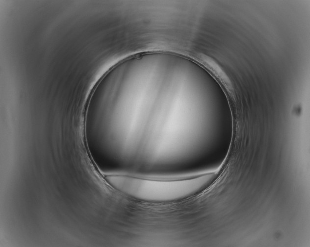 X0000100341340200806121142