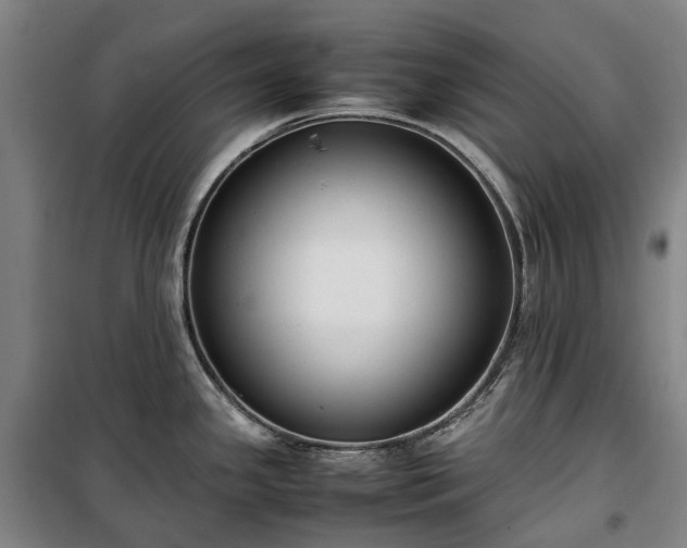 X0000100341341200806121142