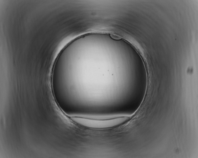 X0000100341344200806121142