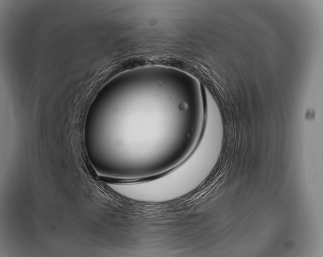 X0000100341345200806121141