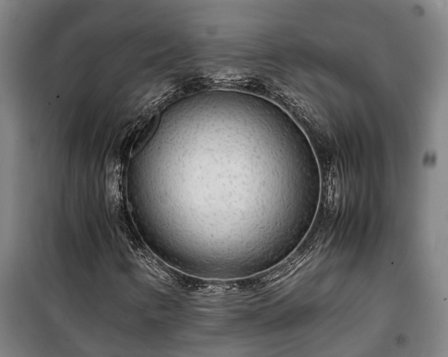 X0000100341346200806121141