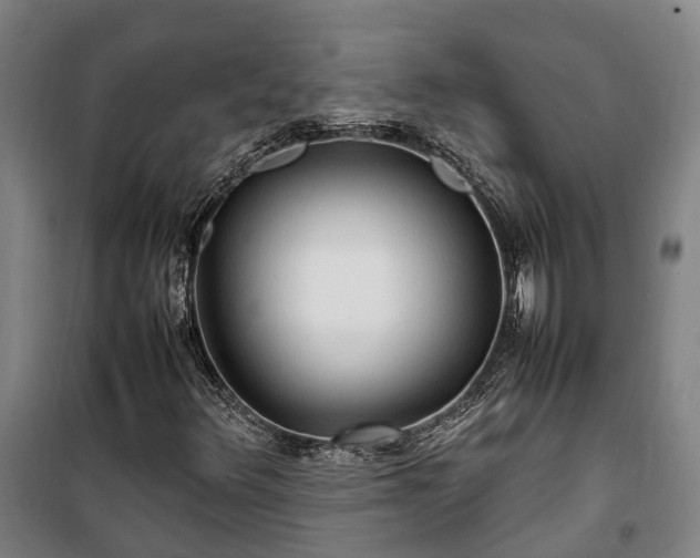 X0000100341348200806121141