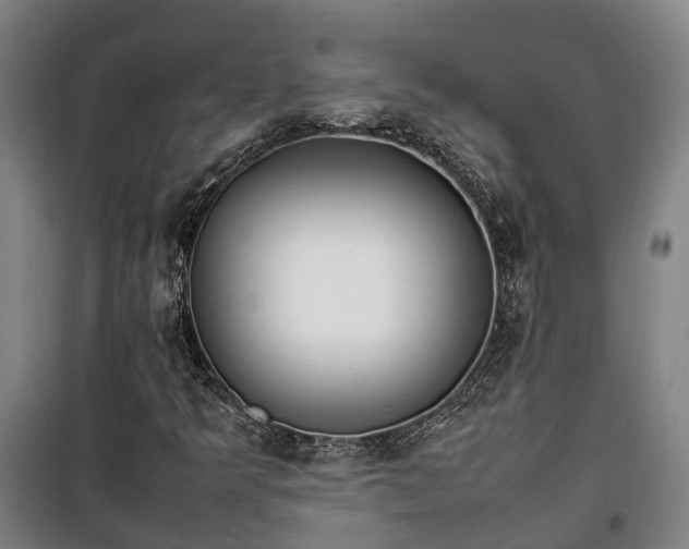 X0000100341349200806121141