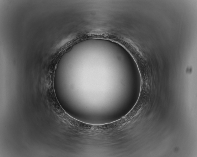 X0000100341350200806121141