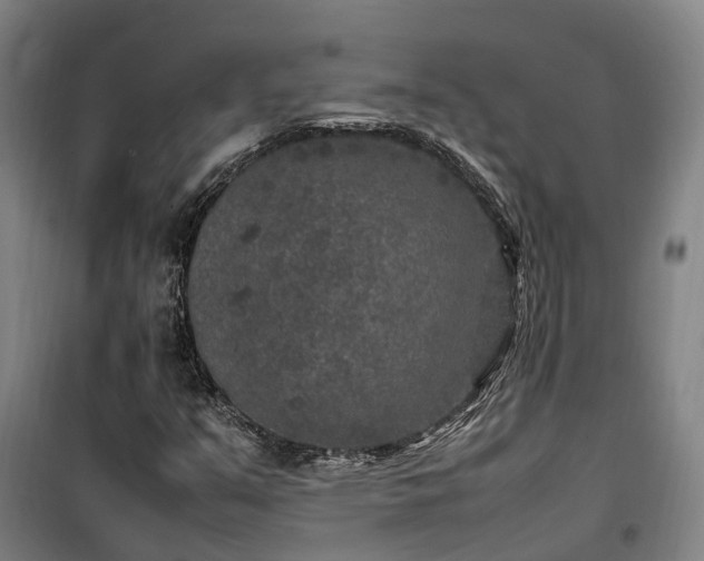 X0000100341351200806121141