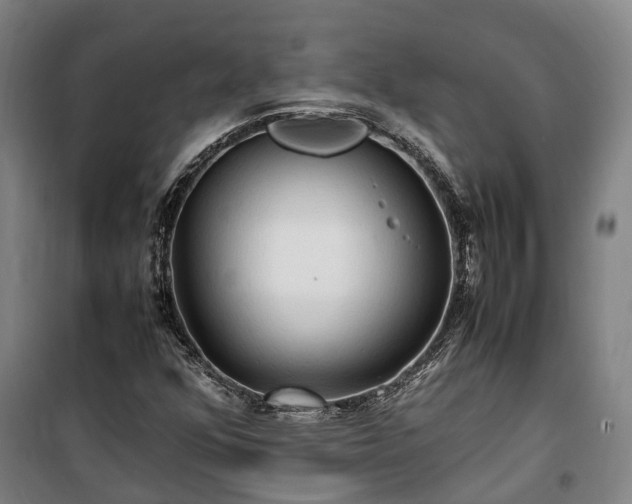X0000100341352200806121141