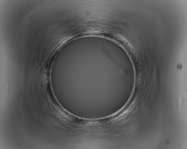X0000100341353200806121141