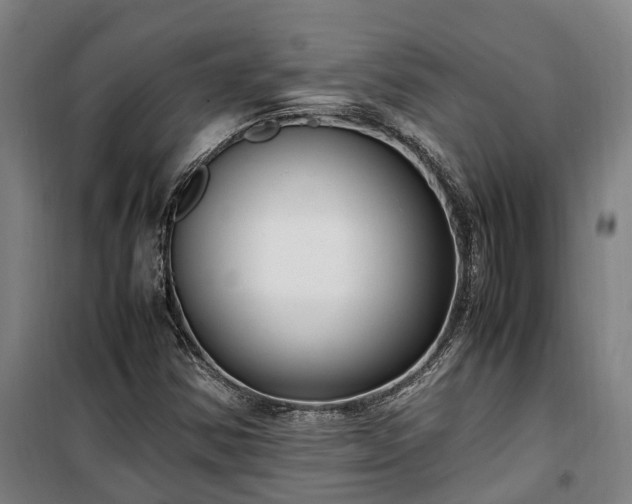 X0000100341354200806121141