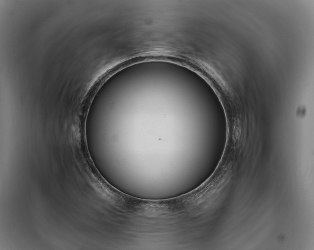 X0000100341356200806121141