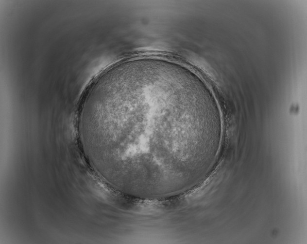 X0000100341357200806121141