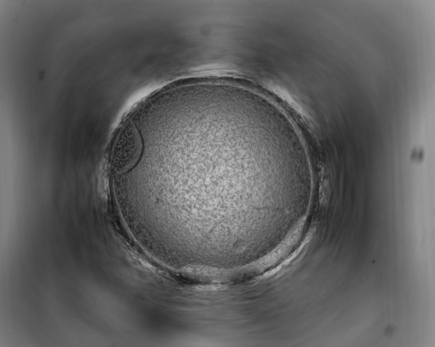 X0000100341358200806121141