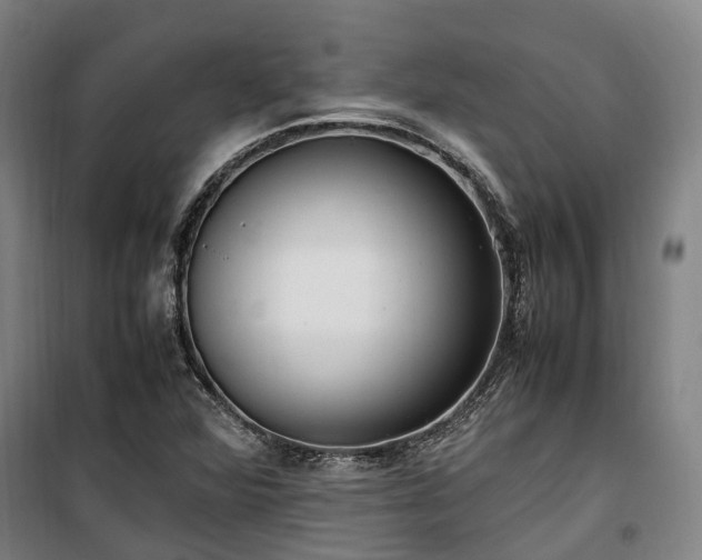 X0000100341360200806121141