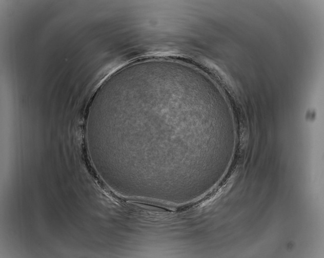 X0000100341361200806121141