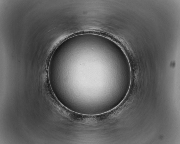X0000100341363200806121141