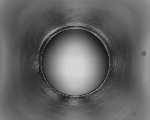 X0000100341364200806121141