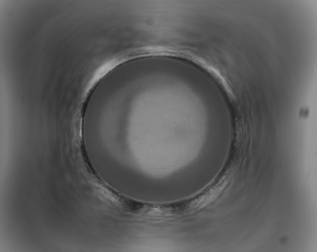 X0000100341365200806121141