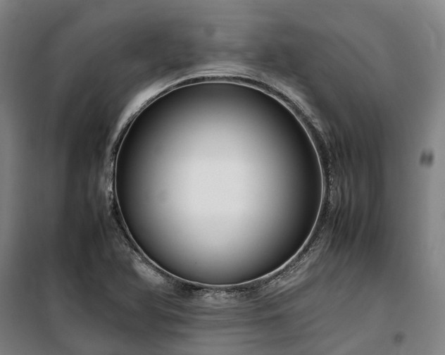X0000100341366200806121141