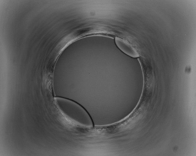 X0000100341369200806121141