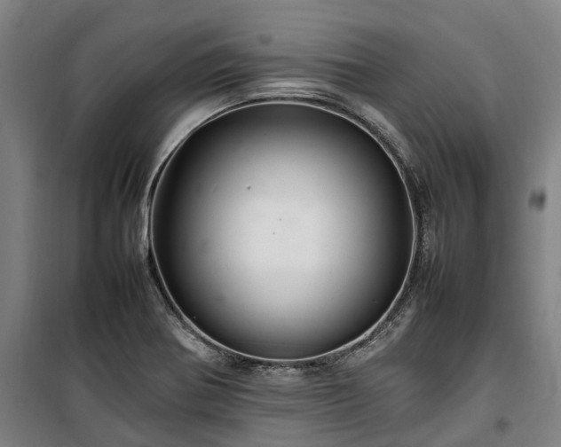 X0000100341370200806121141