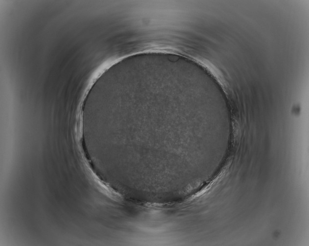 X0000100341371200806121141
