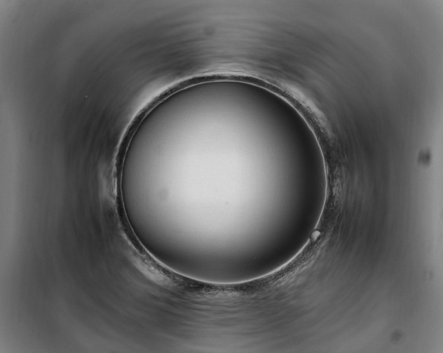 X0000100341372200806121141