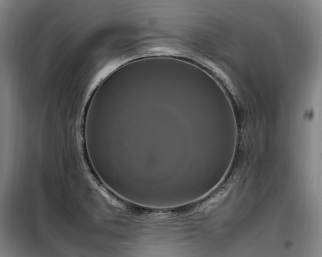 X0000100341373200806121141