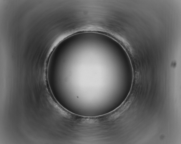 X0000100341374200806121141