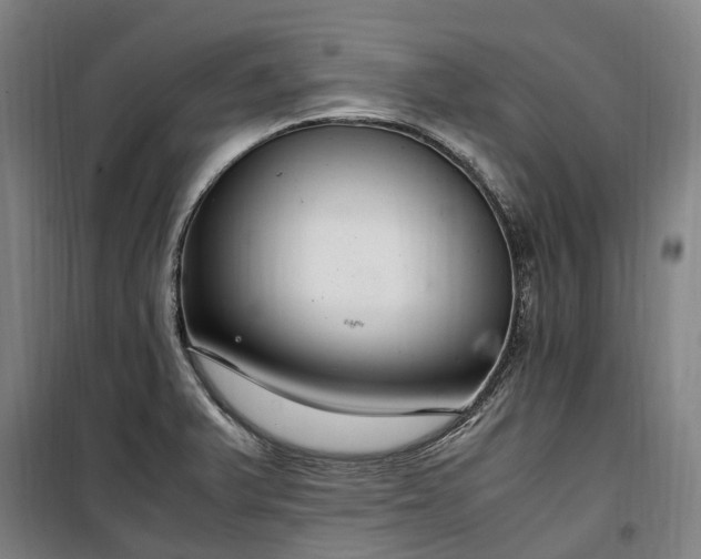 X0000100341375200806121141