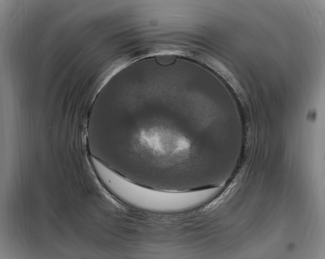 X0000100341377200806121141