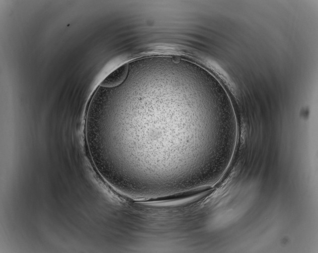 X0000100341378200806121141