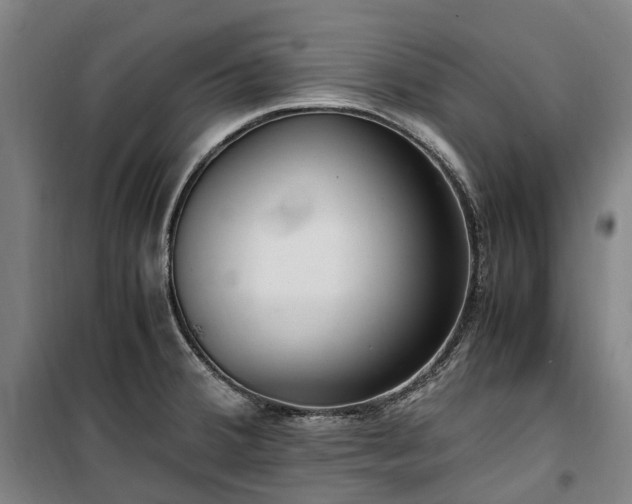 X0000100341380200806121141