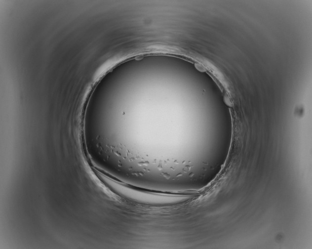 X0000100341381200806121141