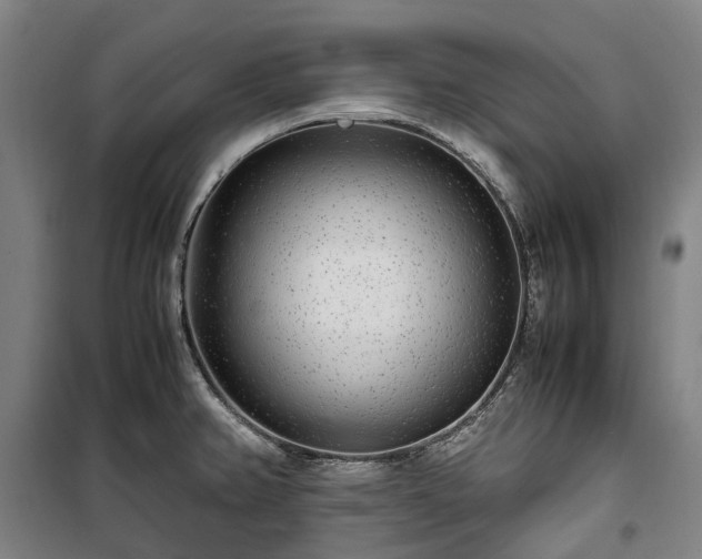 X0000100341382200806121141