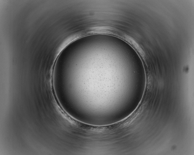 X0000100341386200806121141