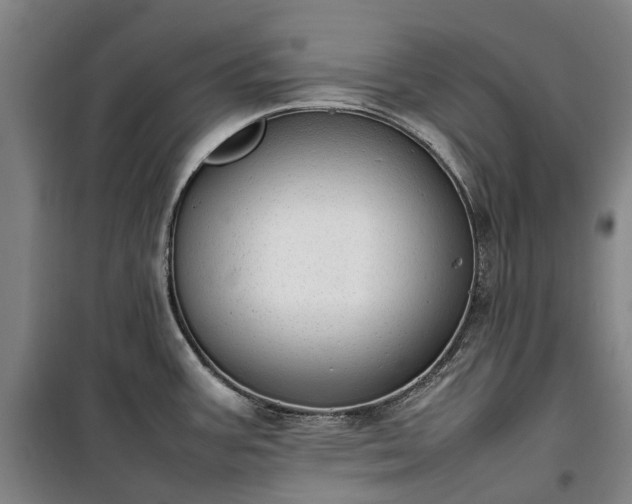 X0000100341387200806121140