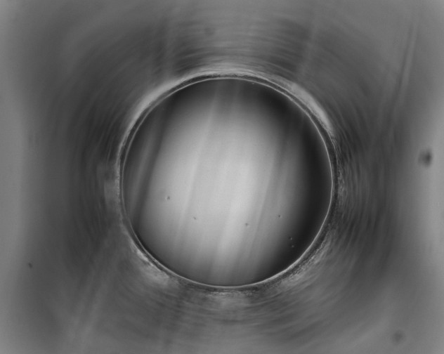 X0000100341388200806121140