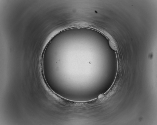 X0000100341389200806121140