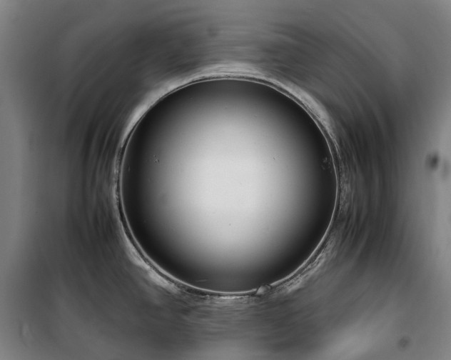 X0000100341390200806121140
