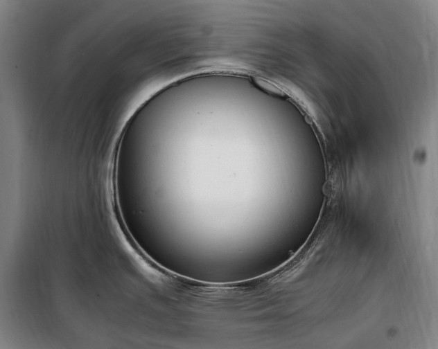 X0000100341391200806121140