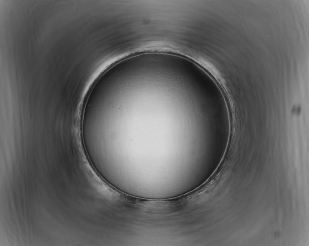X0000100341392200806121140