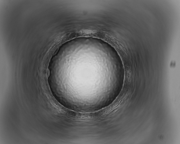X0000100341393200806121140