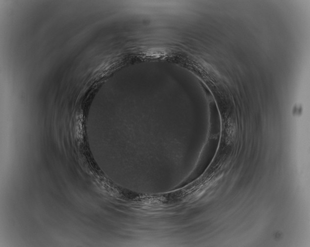 X0000100341394200806121140