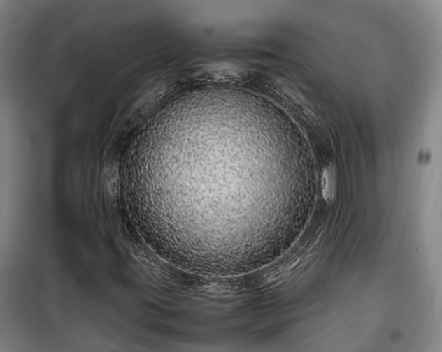X0000100341395200806121140